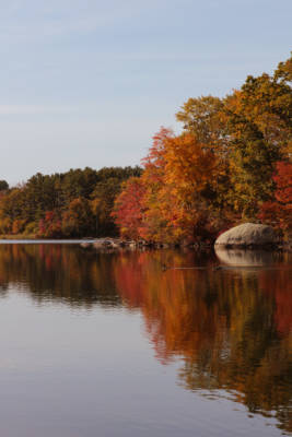 Autumn at Olney Pond, 2020